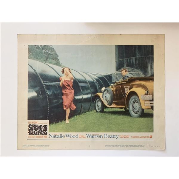 Splendor in the Grass original 1961 vintage lobby card