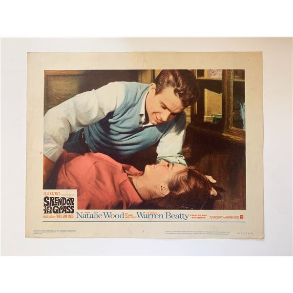 Splendor in the Grass original 1961 vintage lobby card