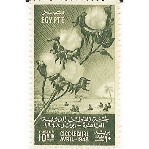 International Cotton Congress - Field and branch of Cotton Egyptian Stamp