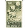 Image 1 : International Cotton Congress - Field and branch of Cotton Egyptian Stamp