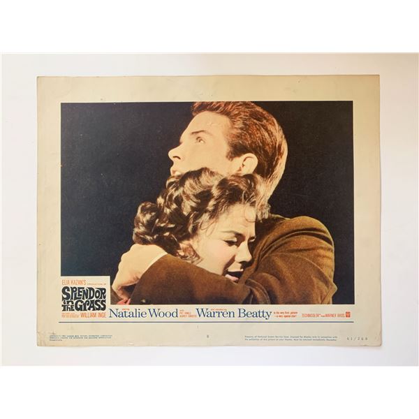 Splendor in the Grass original 1961 vintage lobby card