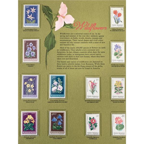 Wildflowers Stamp Set