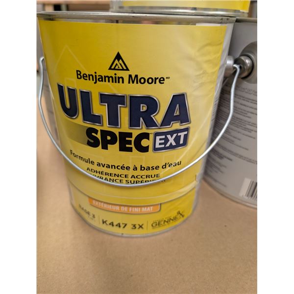PEINTURE EXTERIEUR BENJAMIN MOORE ULTRA SPEC EX FINI MAT BASE 3 K447 3X 3.48L