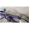 Image 2 : TREK BIKE WITH NEW BRAKES AND CHAIN