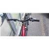 Image 8 : GREEN NORCO AND RED REVOLUTION BIKES