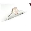 Image 3 : STERLING SILVER NATURAL ROSE QUARTZ (0.85CT) WITH DIAMOND (0.01CT) RING, SIZE 6.5, W/A $300.00.
