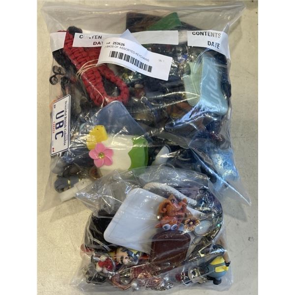 2 BAGS OF ASSORTED KEYCHAINS