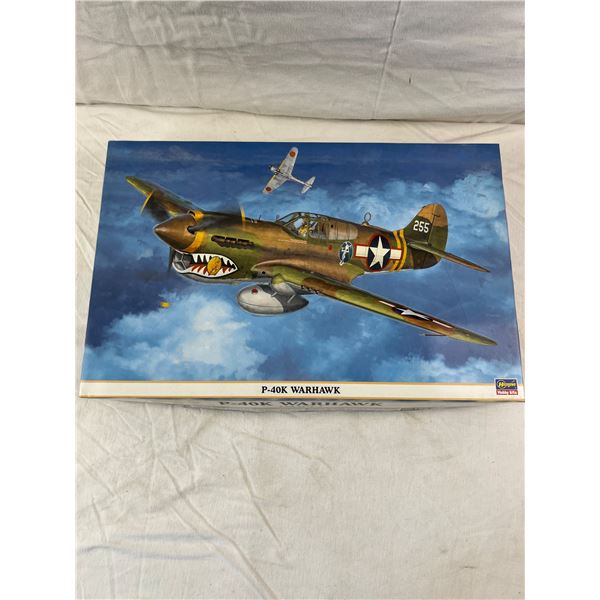 P-40K Warhawk Scale Model Plane