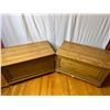 Image 1 : Pair of Wooden Storage Trunks