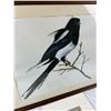 Image 3 : Bird Art Prints