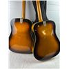 Image 5 : Acoustic Guitars