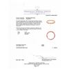 Image 6 : 18kt RG Diamond Eternity Ring