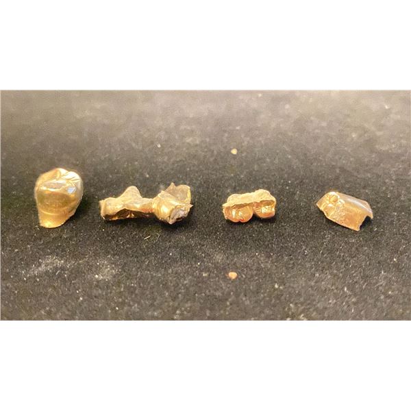 GOLD CROWNS (15.5G)
