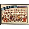Image 1 : 1976-77 NHL O-PEE-CHEE MINNESOTA NORTH STARS