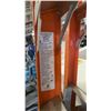 Image 2 : Louisville Orange Ladder - used in Movie Set Dec