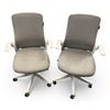 Image 1 : Set of 2 Grey Elecwish Quality Swivel Office Chairs
