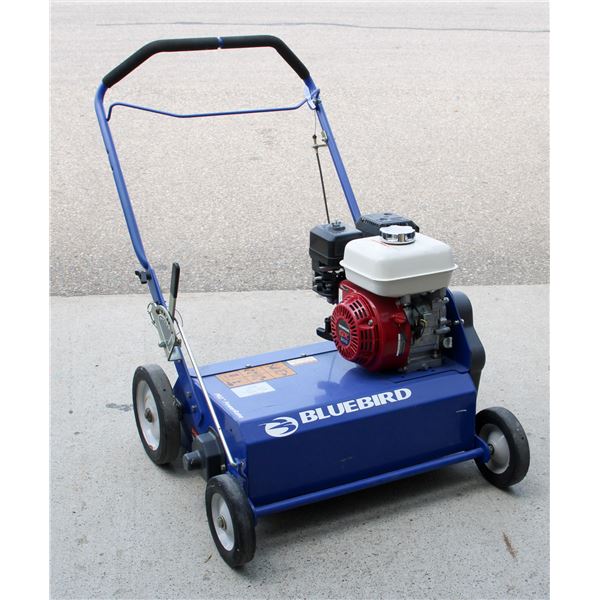 BLUEBIRD 22" PROFESSIONAL POWER RAKE