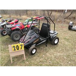 Polaris Go Cart