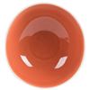 Image 8 : Canyon Ridge 6.5" Orange Plates, Arcoroc FJ626 - Lot of 36| L7L-2