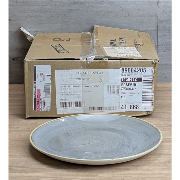 Stonecast Gray 10" Evolve Coupe Plate, SPGSEV101 - Lot of 12| EC-5-3