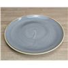 Image 2 : Stonecast Gray 10" Evolve Coupe Plate, SPGSEV101 - Lot of 12| EC-5-3