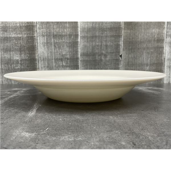 11" Zenix Intensity 18.5oz Pasta Bowls, Arcoroc G4399 - Lot of 12 | L11-2