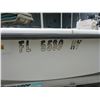 Image 3 : 1995 Renegade 17' Flats Boat, Mercury 2STR O/B