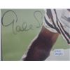 Image 2 : Gale Sayers Autographed Photo