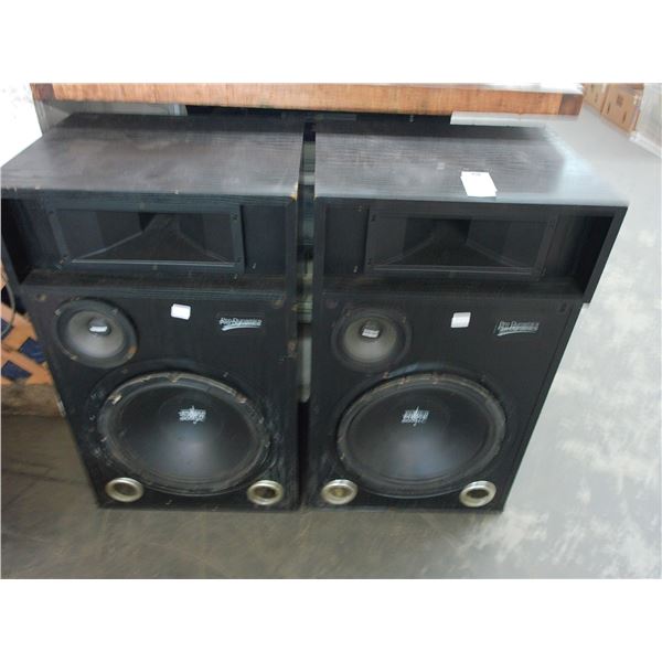 Pro Dynamic Stage Speakers - Pair