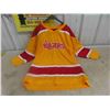 Image 1 : Vintage Vancouver Blazers WHA Hockey Jersey 