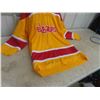 Image 3 : Vintage Vancouver Blazers WHA Hockey Jersey 