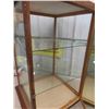 Image 8 : Antique General Store Counter Display Case with 2 Glass Shelves 