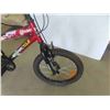 Image 3 : Super Cycle Pedal Bike Variable Speed 18'' 