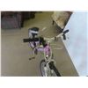 Image 2 : Nakamura Variable Speed Pedal Bike 19'' 