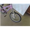 Image 3 : Nakamura Variable Speed Pedal Bike 19'' 