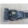 Image 3 : Yardworks 173cc Push Gas Mower 