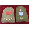 Image 9 : Box full of Canadian Military and Army Slip on Shoulder 