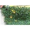 Image 5 : 2 PCS Privacy Artificial Lighted Greenery Panel 40x40