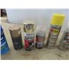 Image 4 : Enamel Spray Paint, All Purpose Adhesive, Auto Detailing 