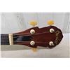 Image 3 : Peerless Banjo With Hard Sided Case
