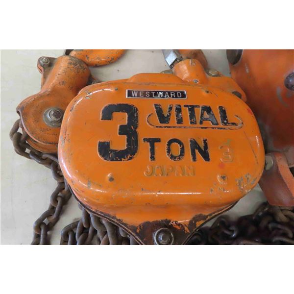 Westward 3 Ton Chain Hoist