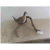 Image 1 : Wood Hand Carved & Hand Painted Sharp Tailed Grouse 