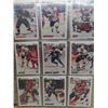 Image 2 : Hockey Card Collection