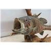 Image 2 : 15" Small Mouth Basss Displayed on Driftwood