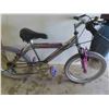 Image 4 : Tech Team Variable Speed Pedal Bike 19'' 