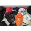 Image 2 : 25 Ball Caps 