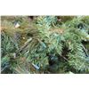 Image 2 : Artificial Christmas Tree 6 Ft
