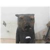 Image 2 : Wood Carved Bear 40'' H by Manitoba (Local!) Artist