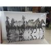Image 2 : Horse Photo/Picture 20'' x 27'' , Wood Canada Flag Display 26'' x