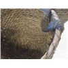 Image 2 : mdesign set of 3 woven baskets - New or Store Return  